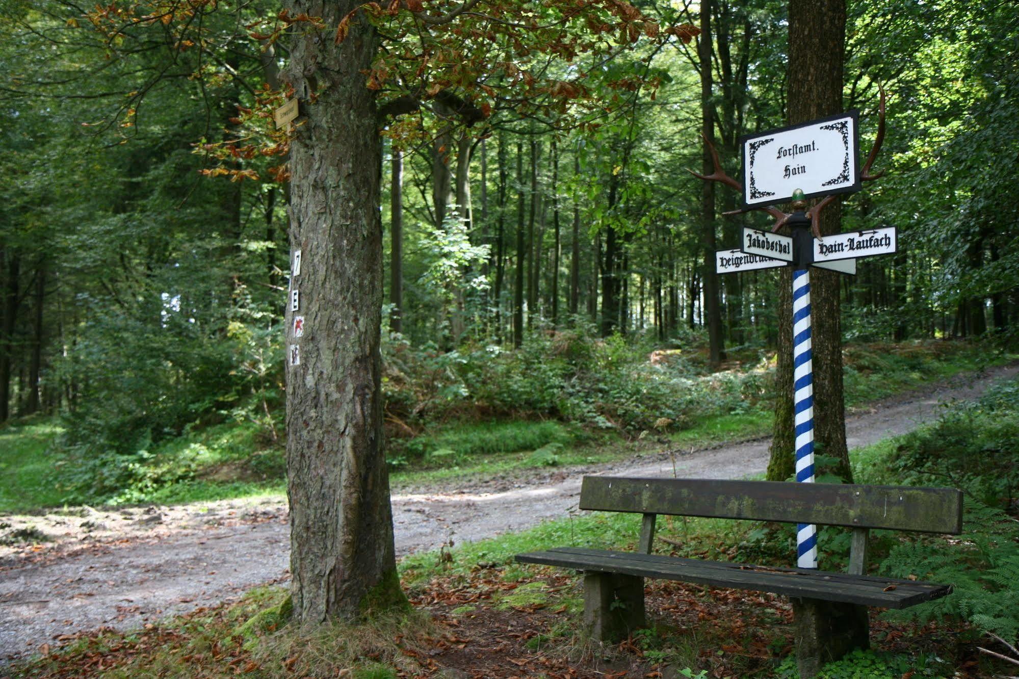 Flair Hotel Hochspessart Heigenbruecken Buitenkant foto